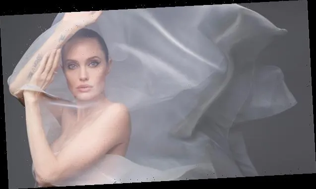 Angelina Jolie, pictorial nud la 44 de ani