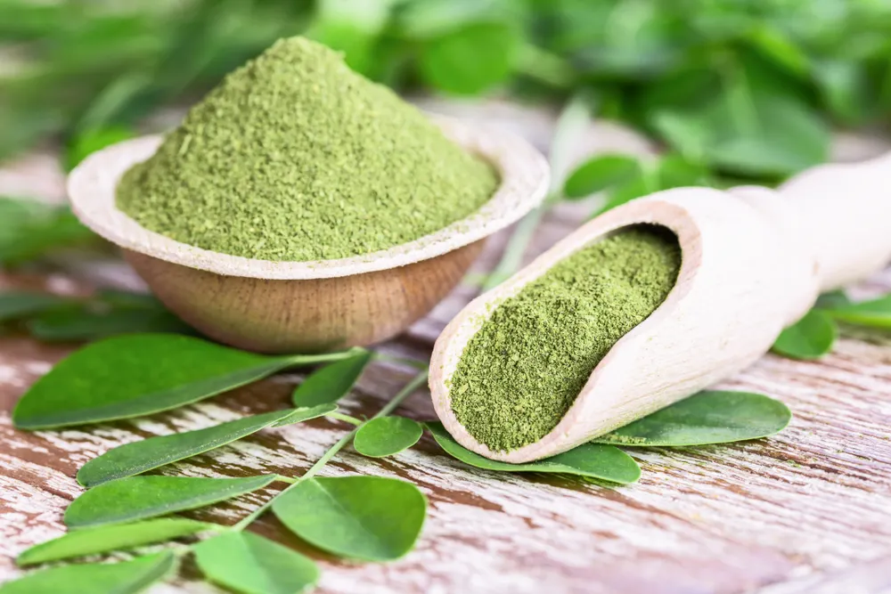 Pudra de moringa - tot ce trebuie să știi despre acest aliment minune