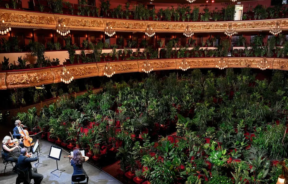 Concert inedit la Opera din Barcelona