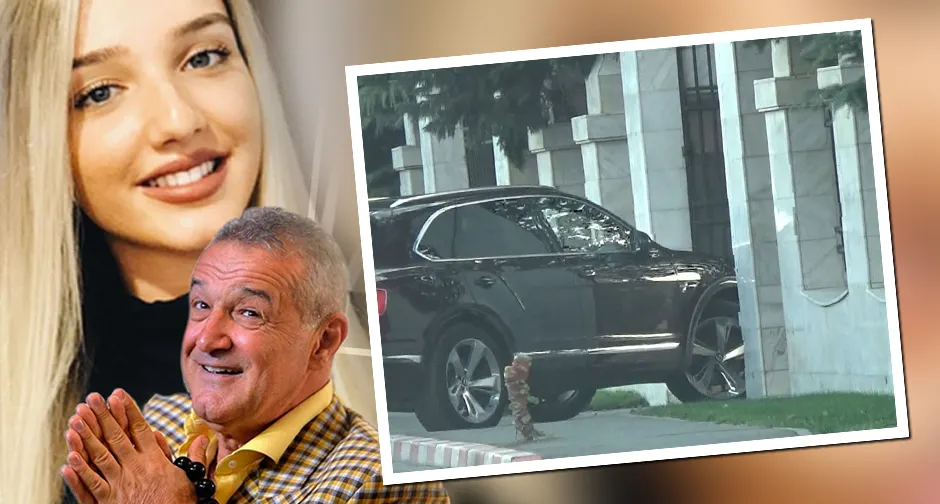 becali1