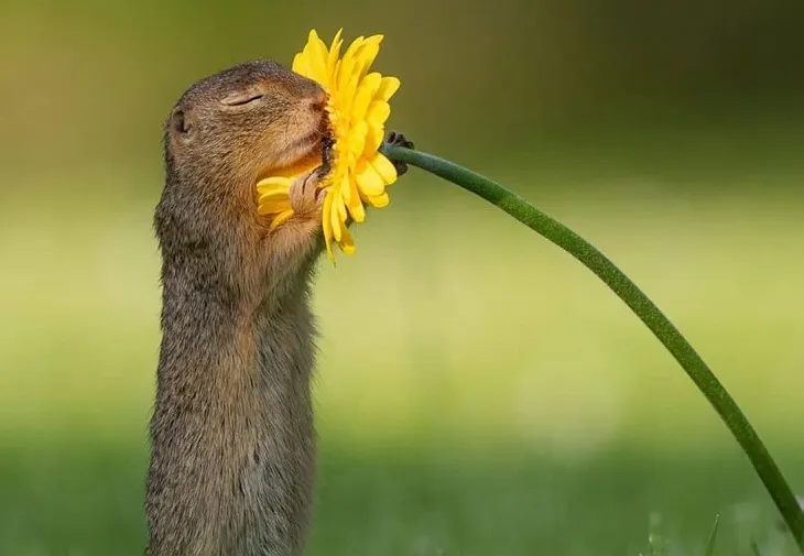 top fotografii