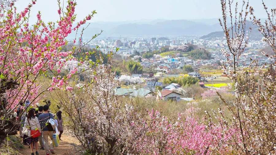 fukushima