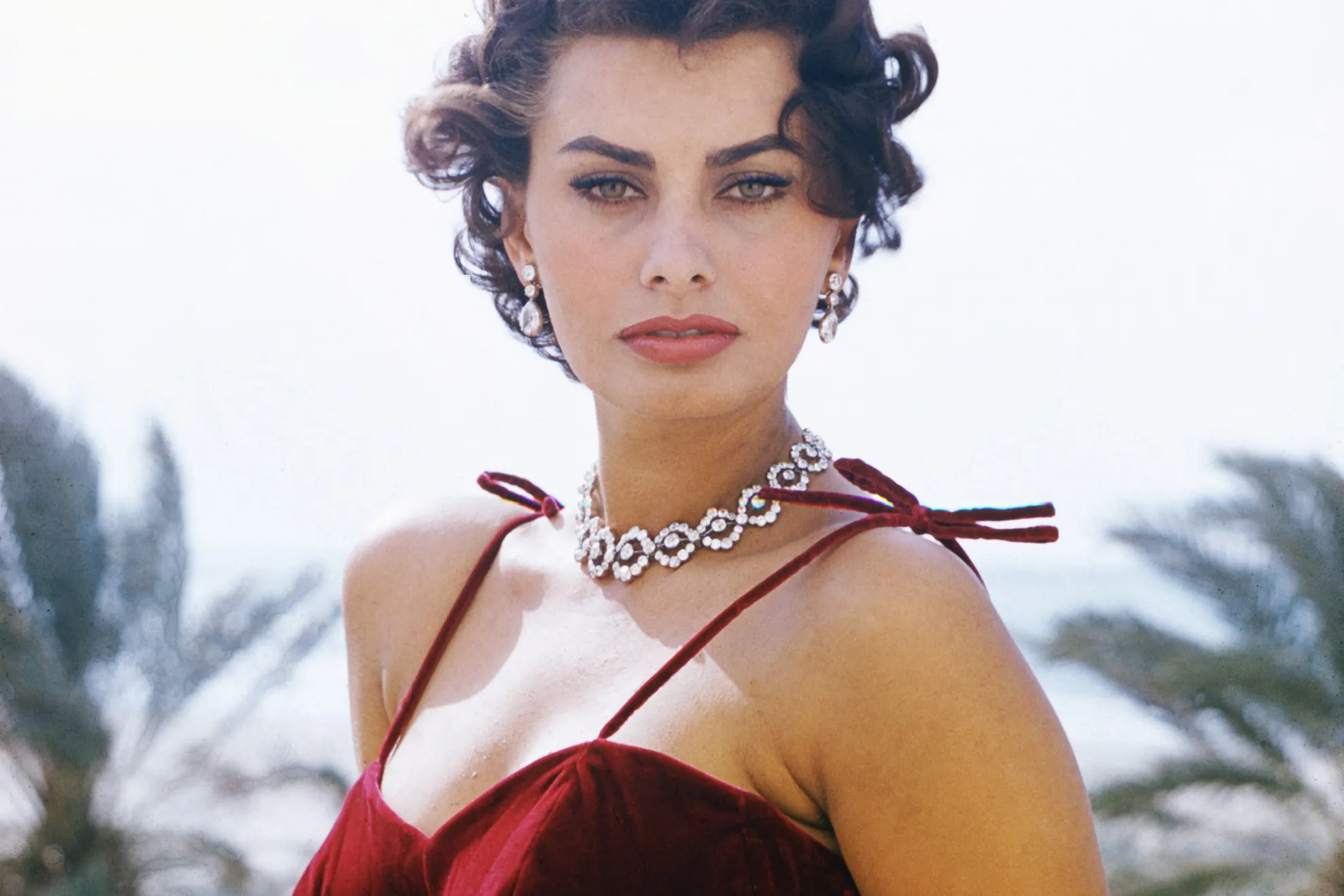Sophia Loren