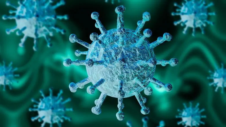coronavirus