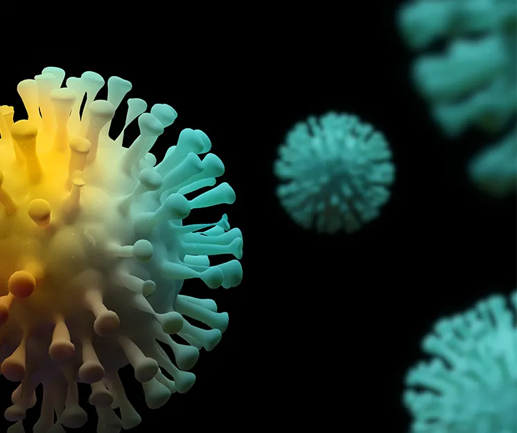 coronavirus