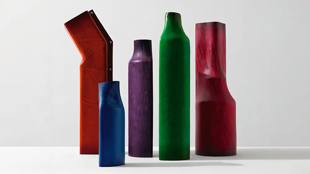 accesorii