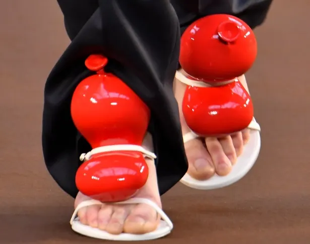 pantofi