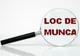 Sondaj incurajator: In ultimul trimestru se vor inmultii ofertele de munca pentru tineri