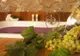 Vinoterapia: de ce este bine să faci baie în vin