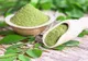 Pudra de moringa - tot ce trebuie să știi despre acest aliment minune
