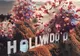 Hollywood s-a schimbat anul acesta. Unele lucruri nu vor reveni niciodată la normal