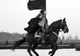 Celine Homme a chemat cavaleria