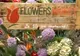 Flowers Market Holland - cel mai mare depozit de flori din Capitală a împlinit 10 ani VIDEO