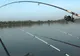 Captură uriașă pe Someș: un tânăr din Zalău a prins un somn de 2,25 metri și peste 65 de kilograme